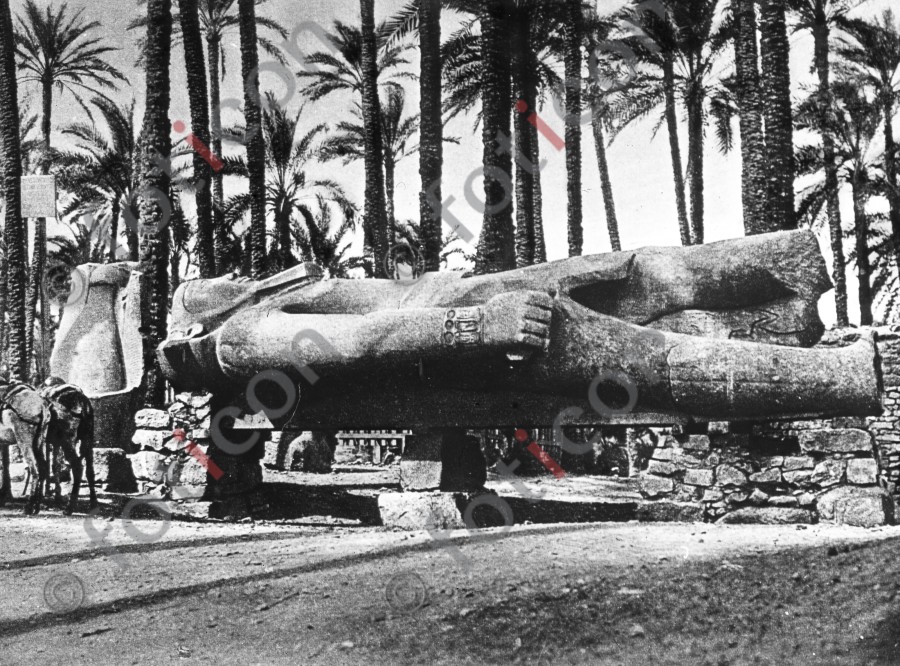Kolossalstatue Ramses II. | Colossal statue of Ramses II. - Foto foticon-simon-008-051-sw.jpg | foticon.de - Bilddatenbank für Motive aus Geschichte und Kultur